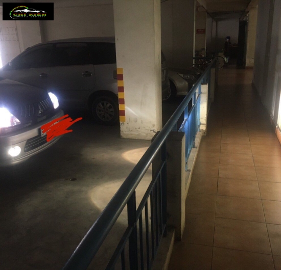 Xe 7 chổ . Cỏ nhưng cọp